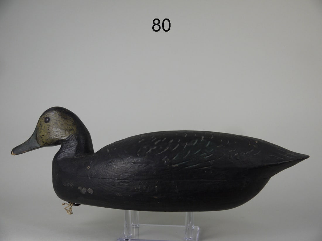 EARLY BLACK DUCK, SOUTH JERSEY (1 of 4)