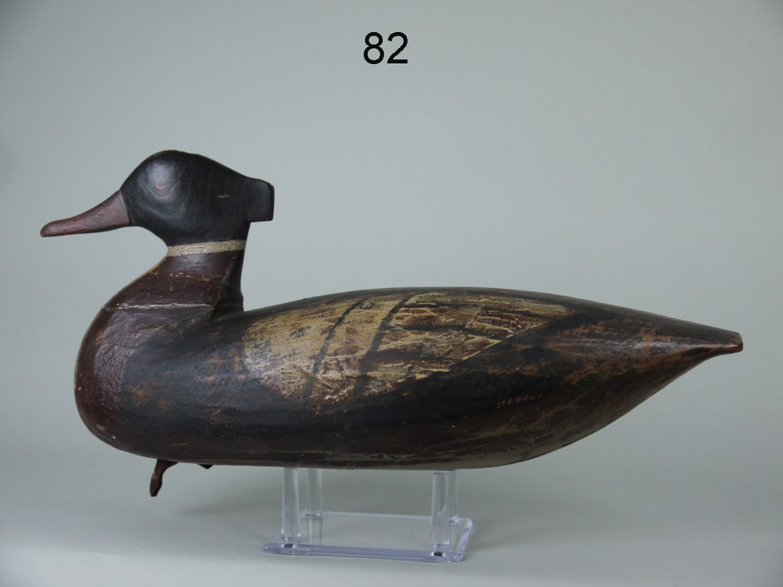 RED-BREASTED MERGANSER DRAKE, NEW JERSEY (1 of 4)