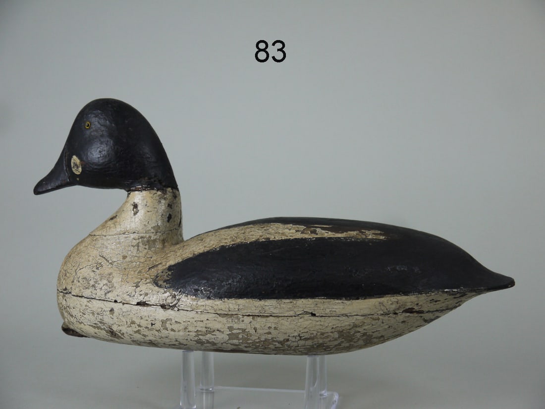 GOLDENEYE DRAKE, L. PARKER (1 of 4)