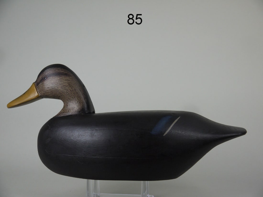 BLACK DUCK, J. PAUL (1 of 4)