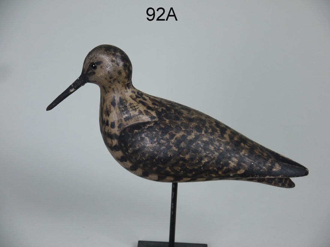 YELLOWLEGS, LONG ISLAND (1 of 4)