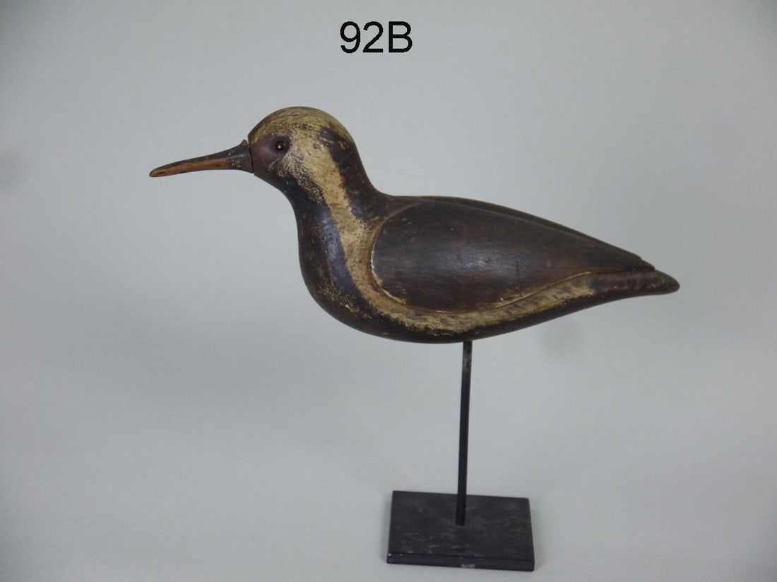 BLACK-BREASTED PLOVER, LONG ISLAND (1 of 4)