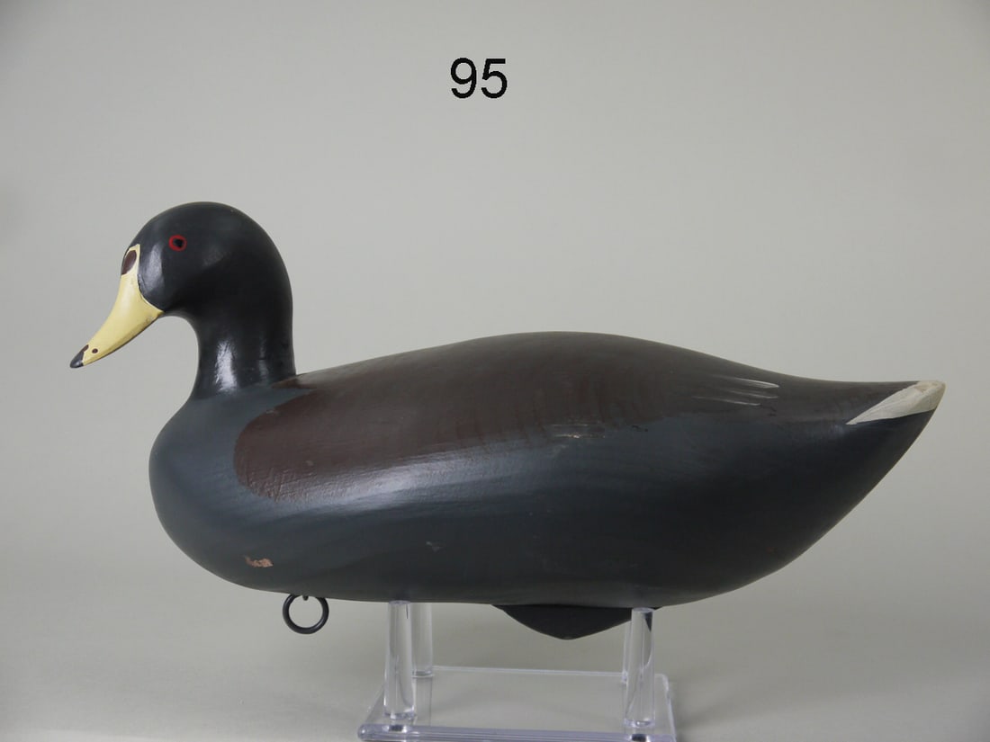 Coot, R.m. Mitchell Auction