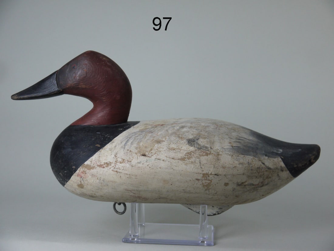 CANVASBACK DRAKE, R.M. MITCHELL (1 of 4)