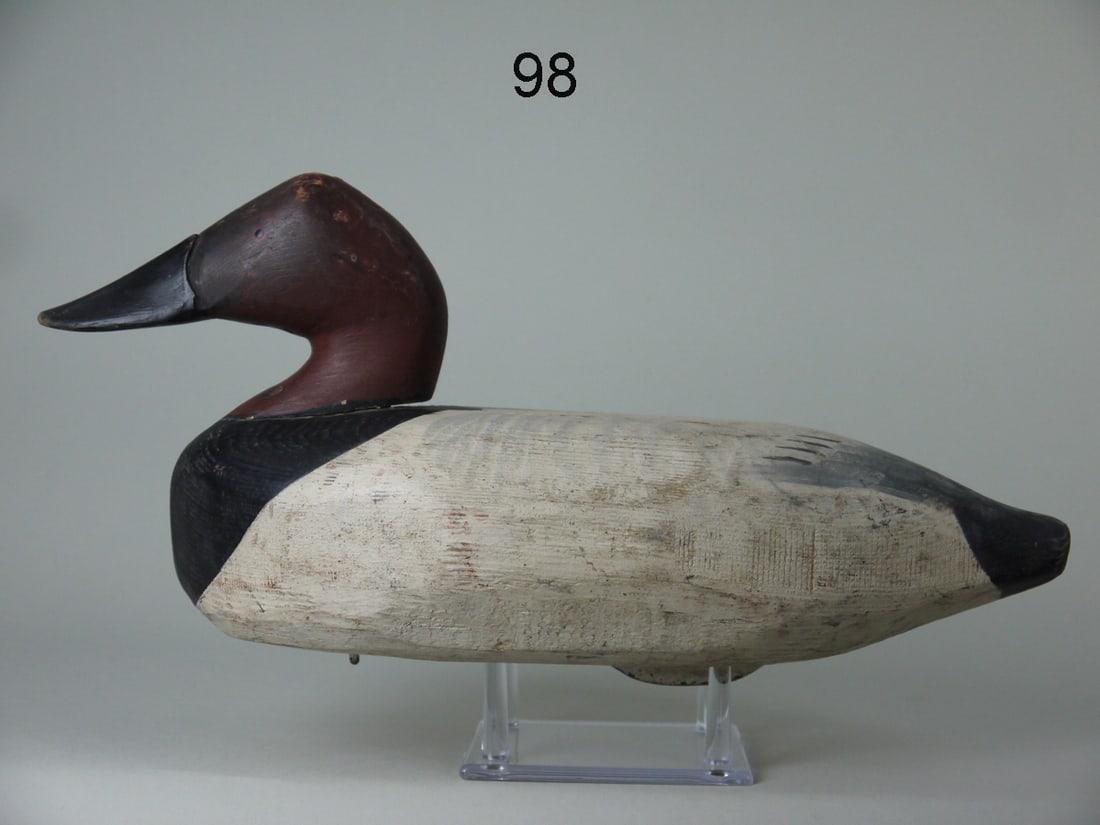 CANVASBACK DRAKE, MARYLAND (1 of 3)