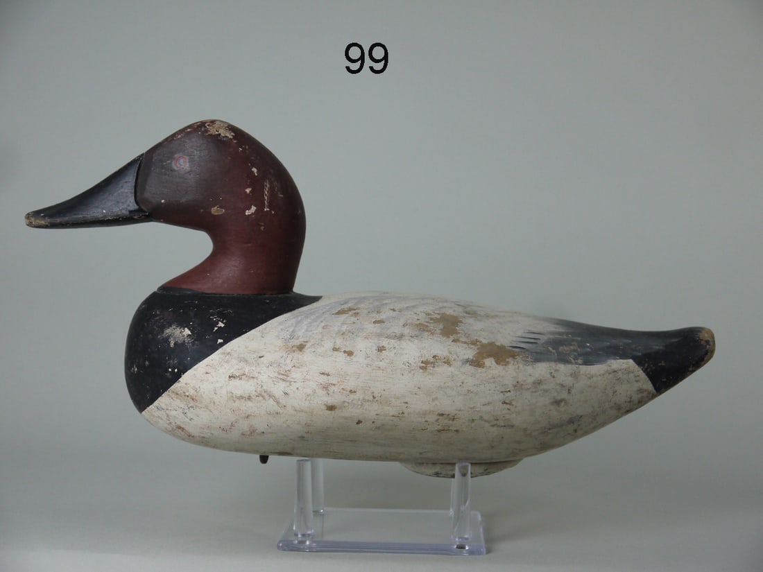 CANVASBACK DRAKE, R.M. MITCHELL (1 of 4)