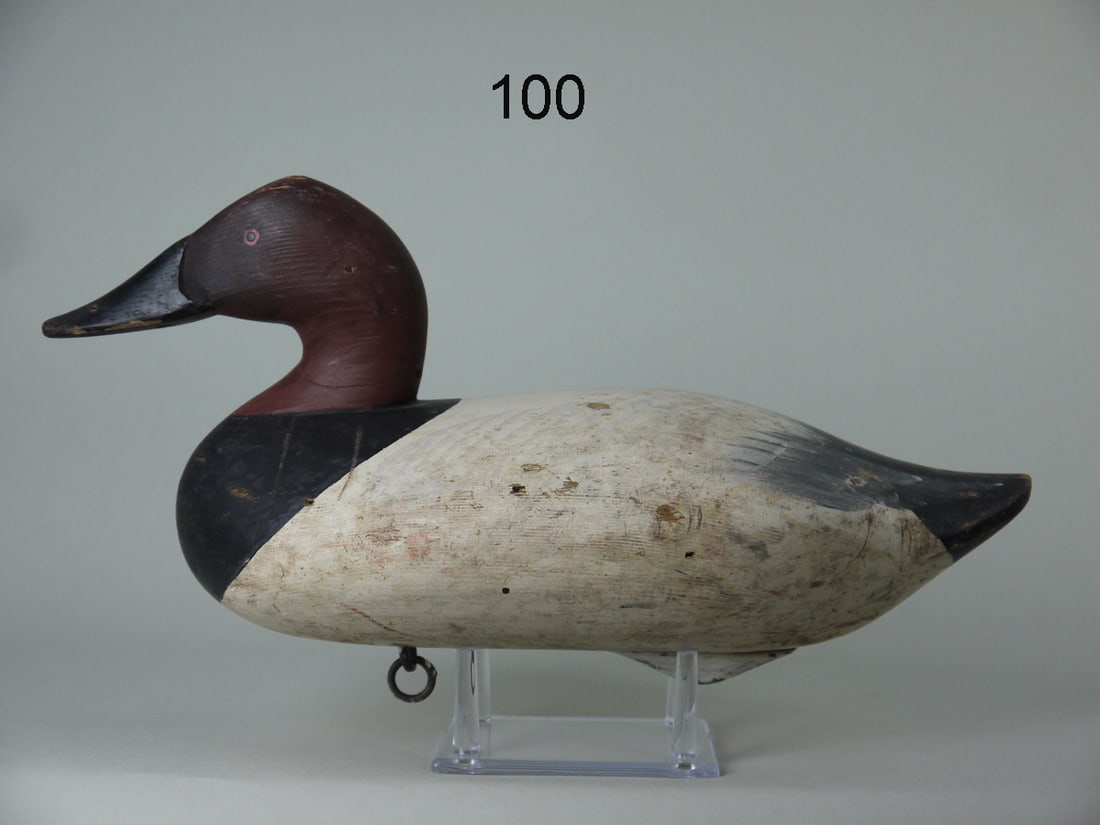 CANVASBACK DRAKE, R.M. MITCHELL (1 of 4)