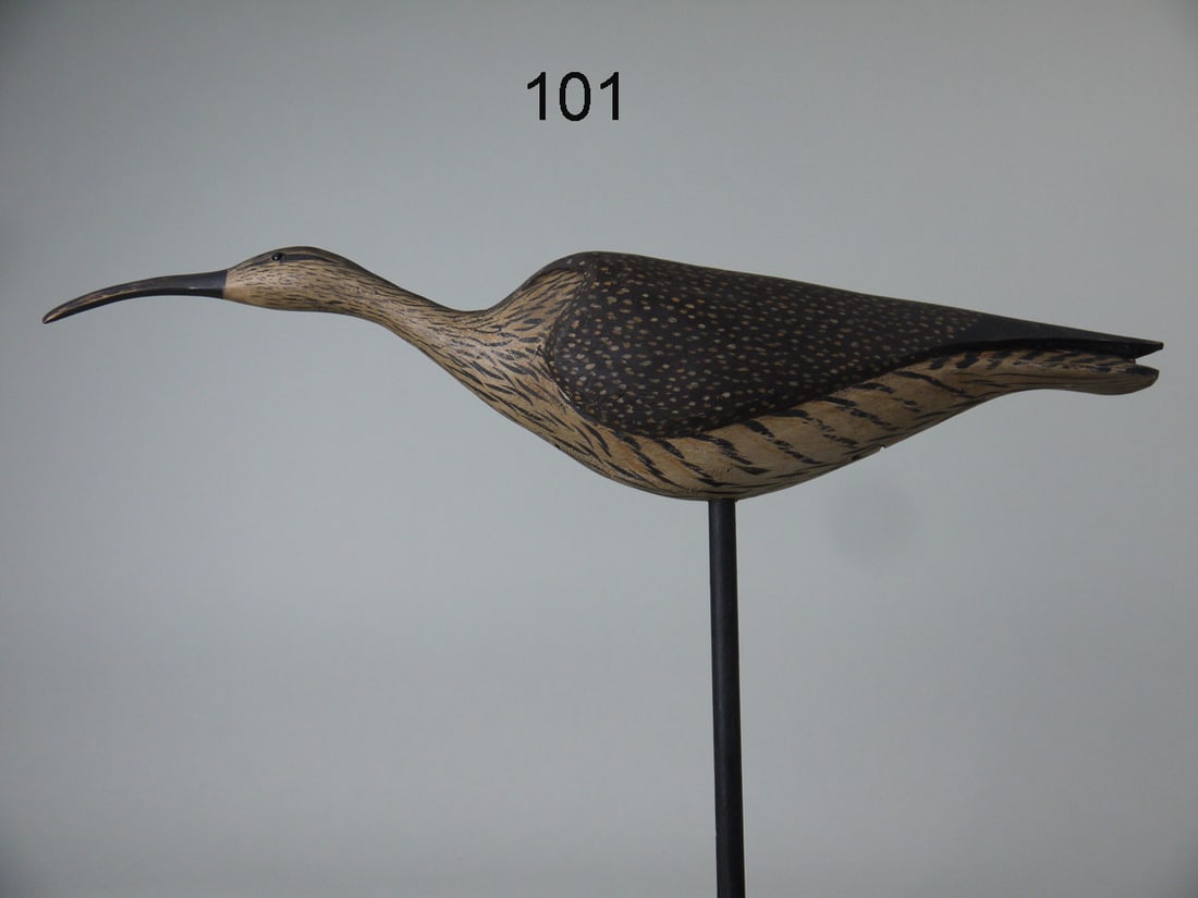 RUNNING CURLEW, G. CHESSER (1 of 4)