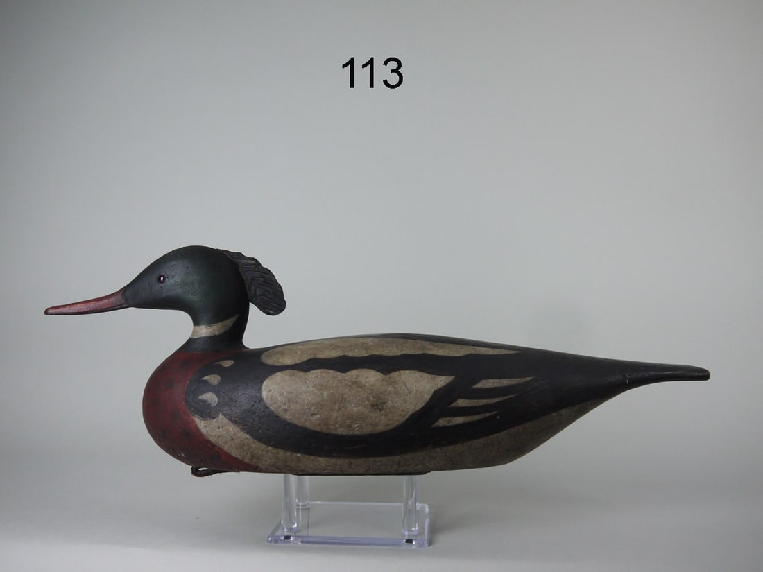 RED-BREASTED MERGANSER, NEW ENGLAND (1 of 4)