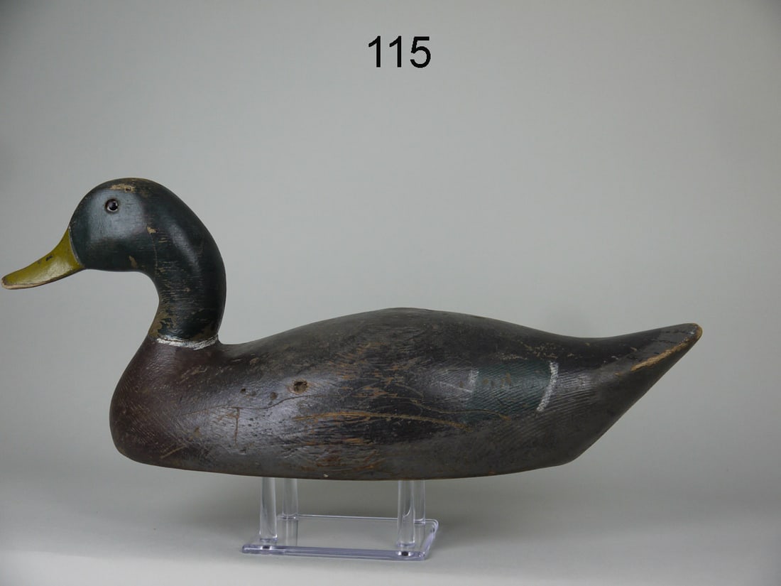 EARLY MALLARD DRAKE, MID-WEST (1 of 4)