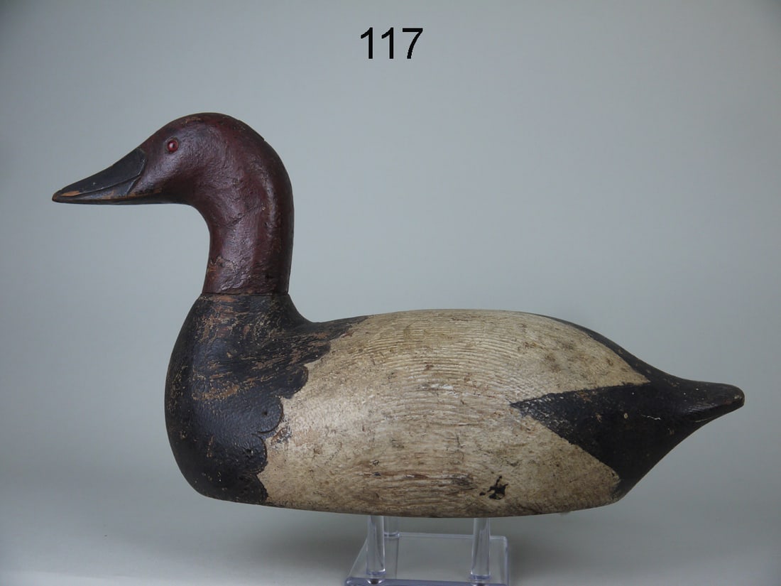 CANVASBACK DRAKE, OSHKOSH, WI (1 of 4)