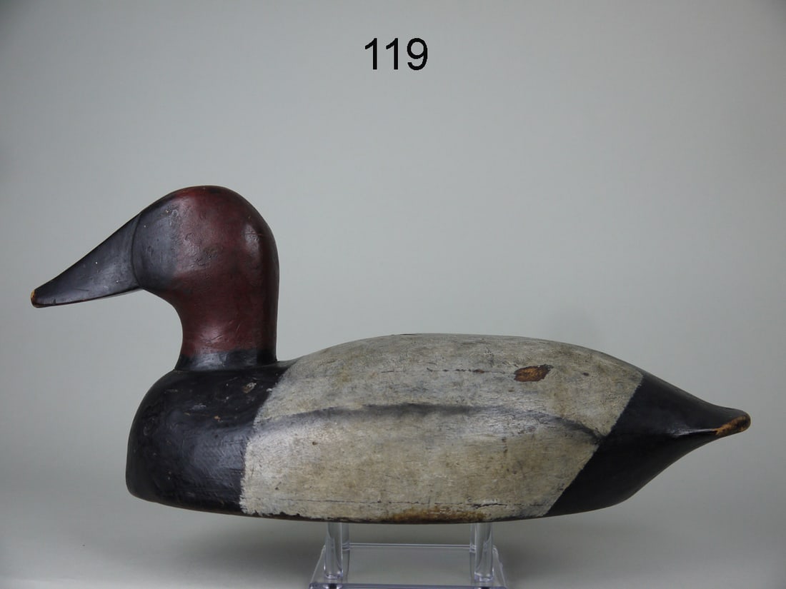 CANVASBACK DRAKE, MID-WEST (1 of 4)