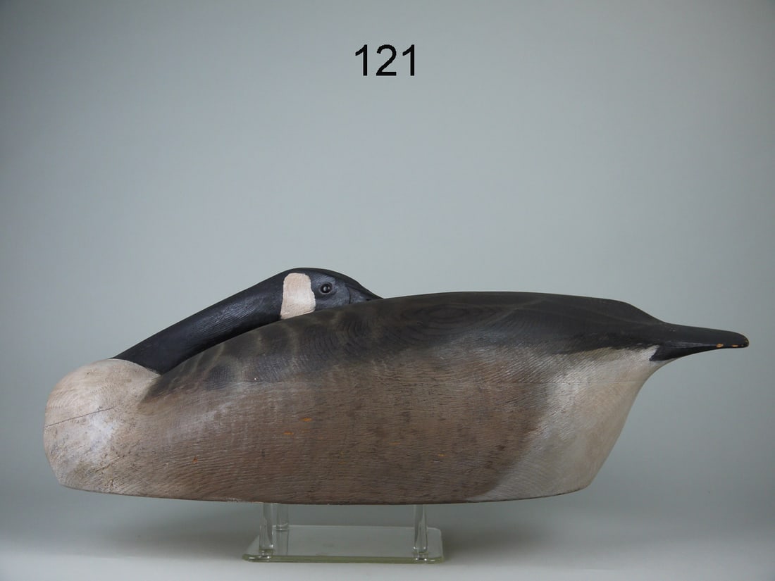 CANADA GOOSE, T. WARD (1 of 4)