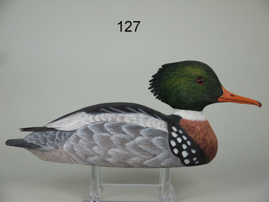 RED-BREASTED MERGANSER DRAKE, H. MCCHESNEY (1 of 4)