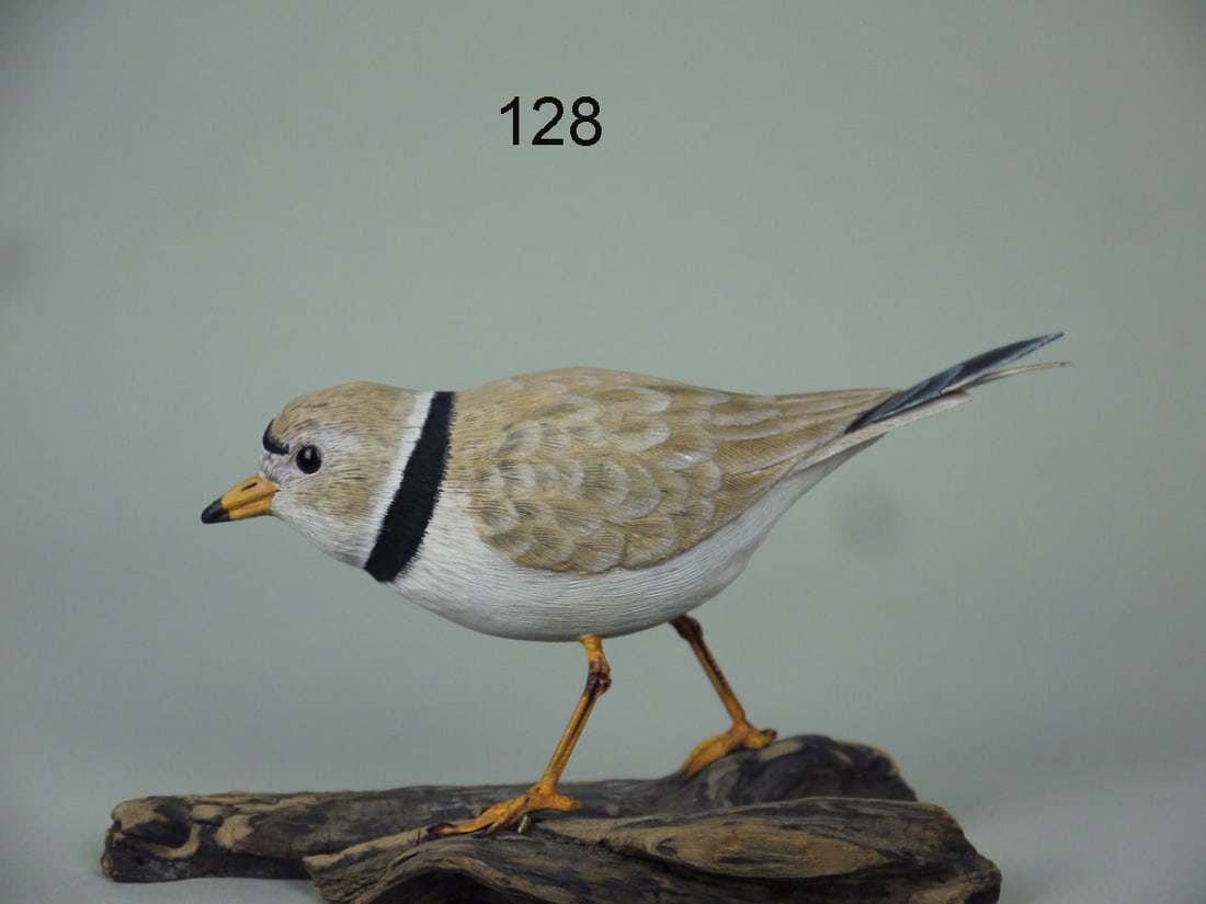 PIPING PLOVER, H. MCCHESNEY (1 of 2)