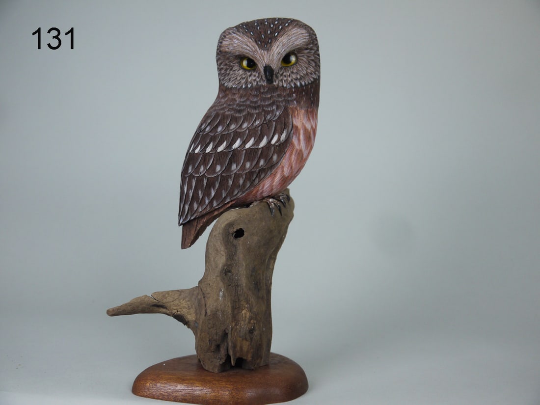 NORTHERN SAW-WHET OWL, H. MCCHESNEY (1 of 2)