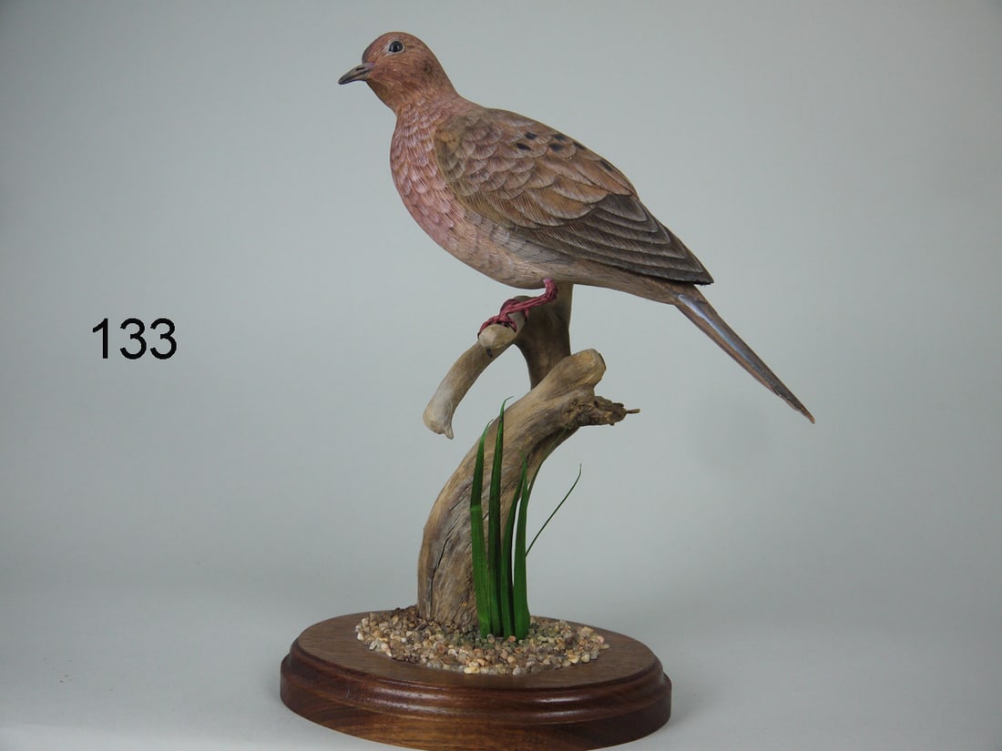 MOURNING DOVE. H. MCCHESNEY (1 of 2)