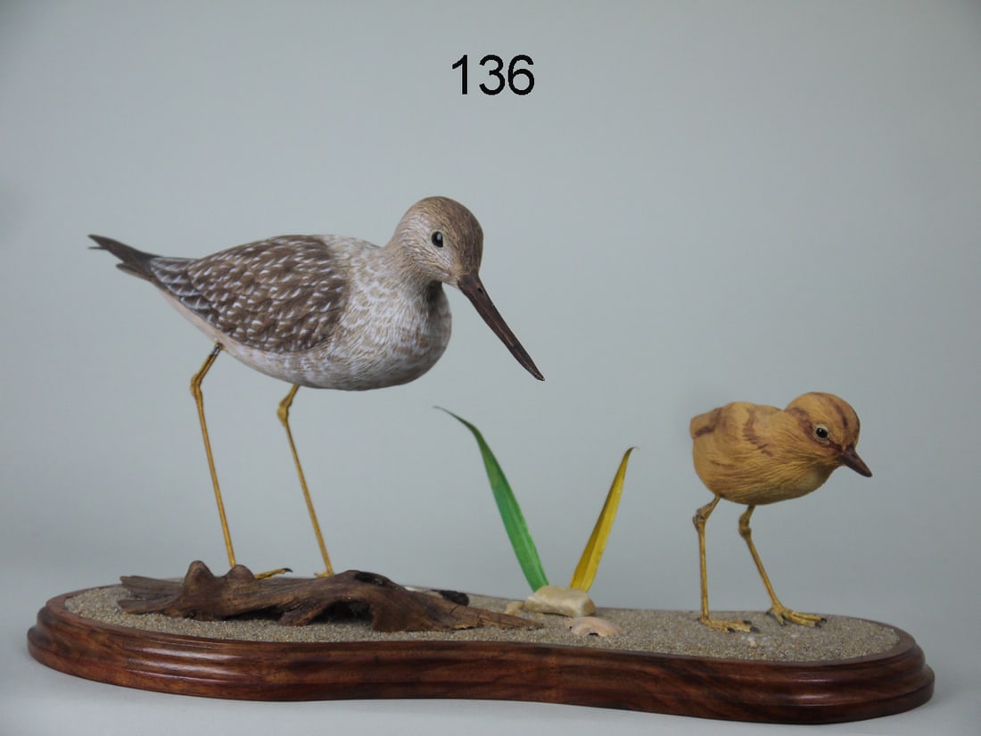 TWO YELLOWLEGS, R. SCHILL (1 of 2)