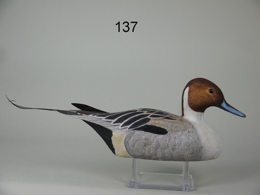 ONE-HALF SIZE PINTAIL DRAKE, R. SCHILL (1 of 4)