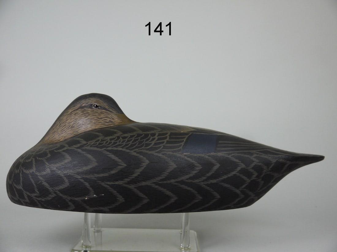 SLEEPING BLACK DUCK, T. LANGAN (1 of 4)