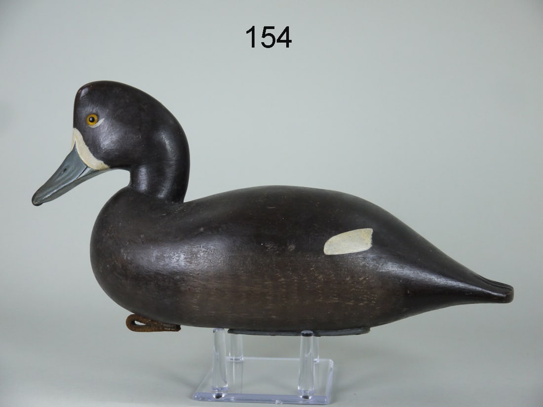 BROADBILL HEN, J. EGELI (1 of 4)