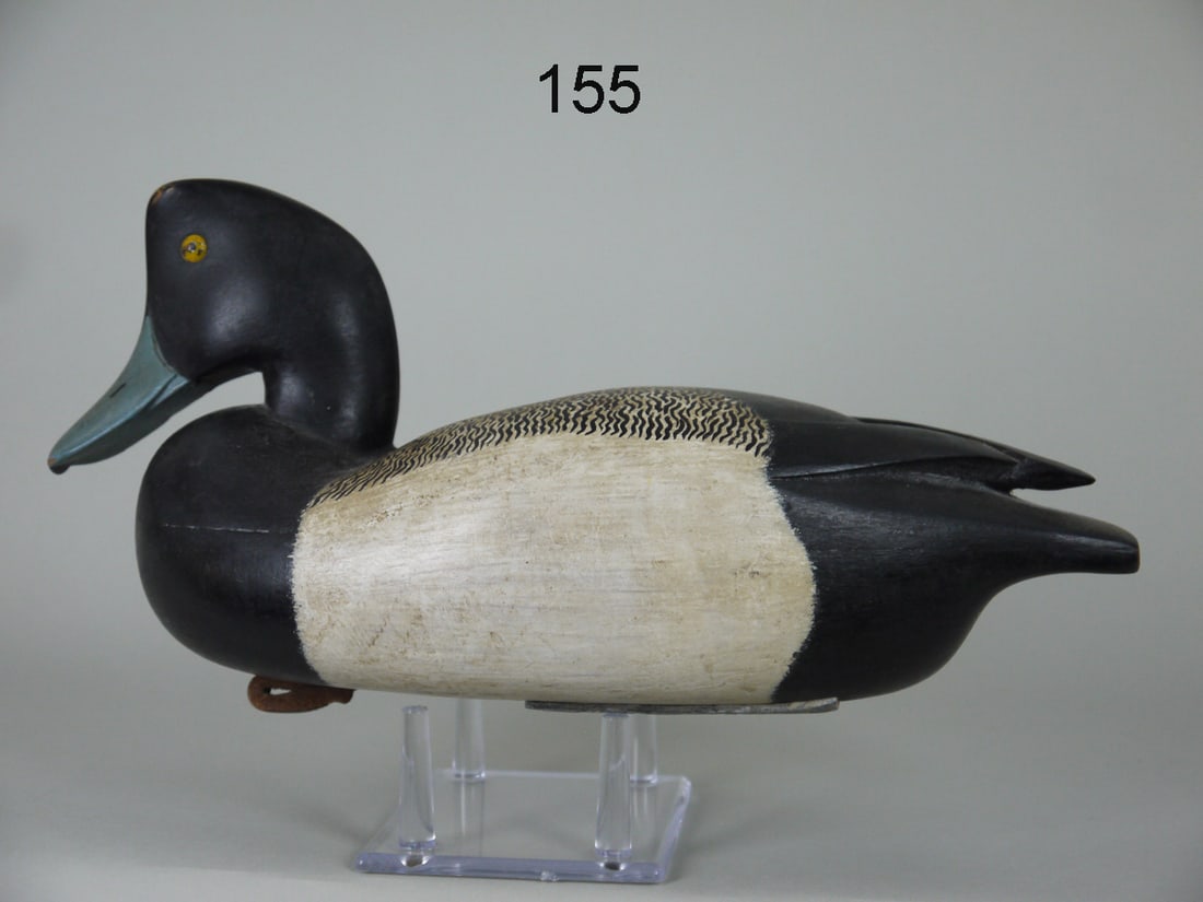 BROADBILL DRAKE, J. EGELI (1 of 4)