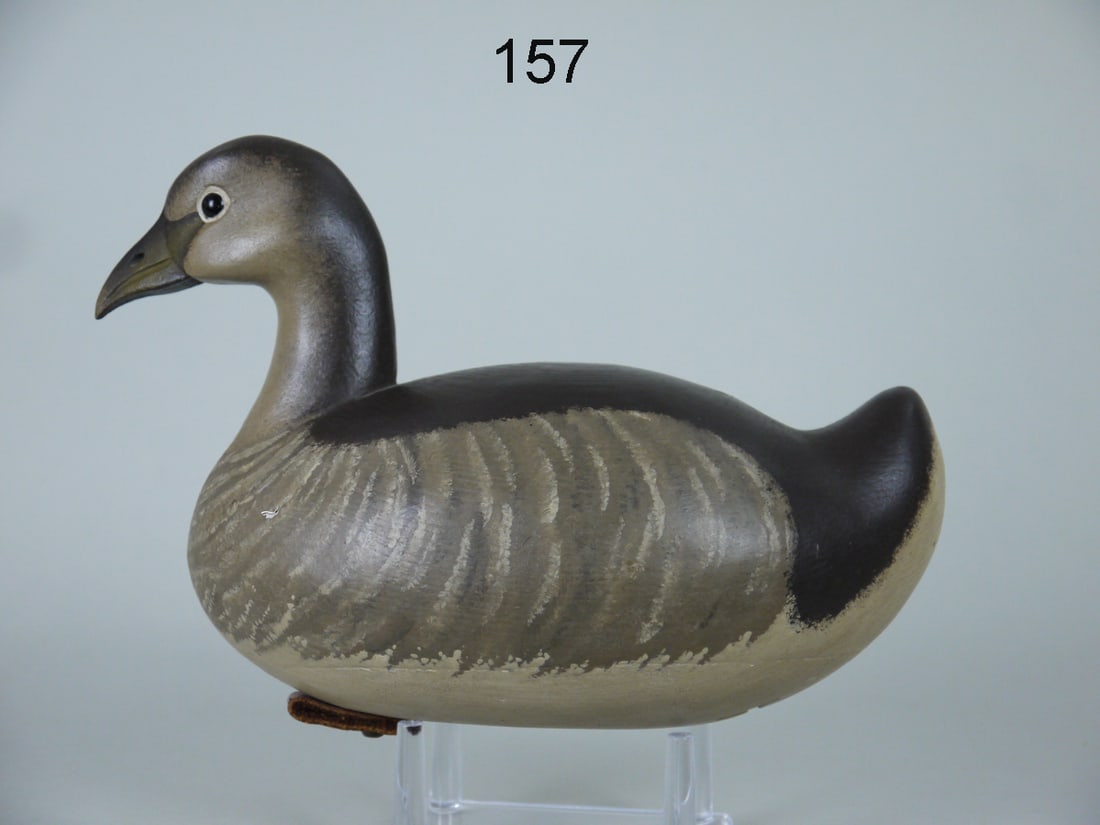 PIED-BILLED GREBE, J. HOLLOWAY (1 of 4)