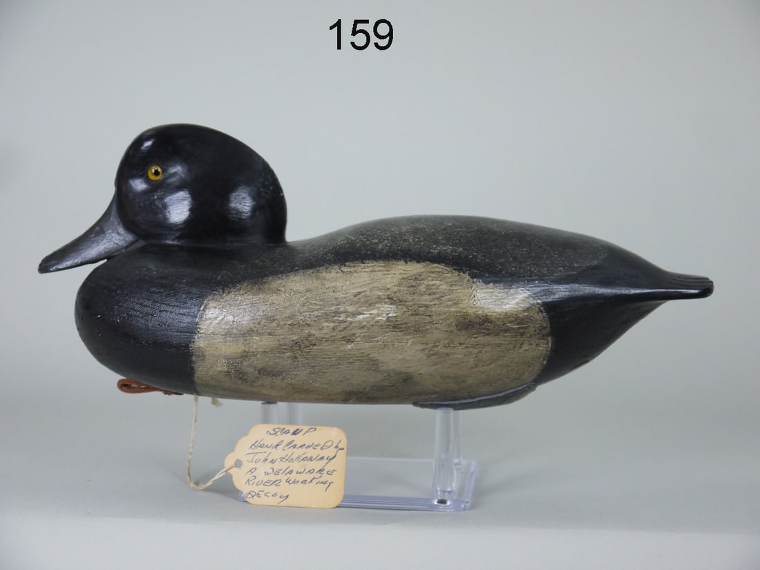 BLUEBILL DRAKE, J. HOLLOWAY (1 of 4)
