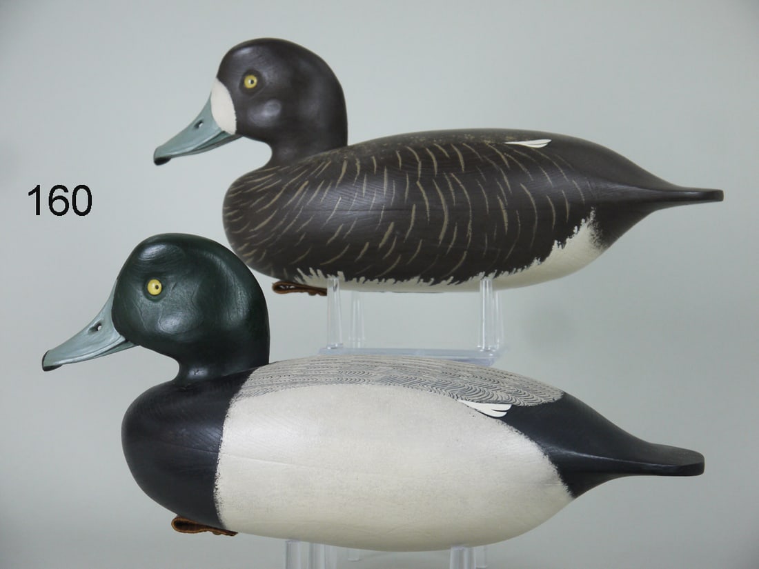 BLUEBILL PAIR, J. HOLLOWAY (1 of 4)