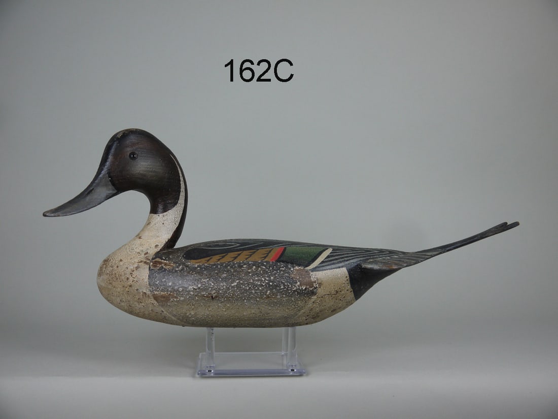 PINTAIL DRAKE (1 of 4)
