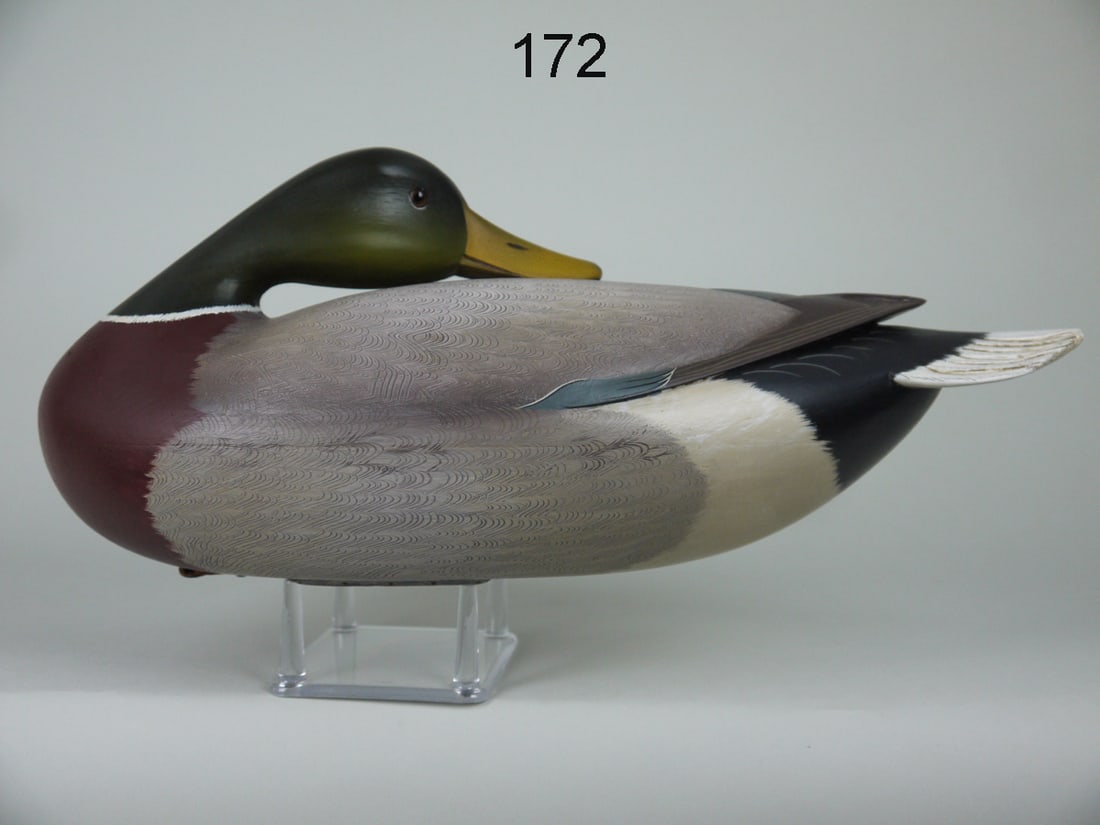 PREENING MALLARD DRAKE, G. STRUNK (1 of 4)