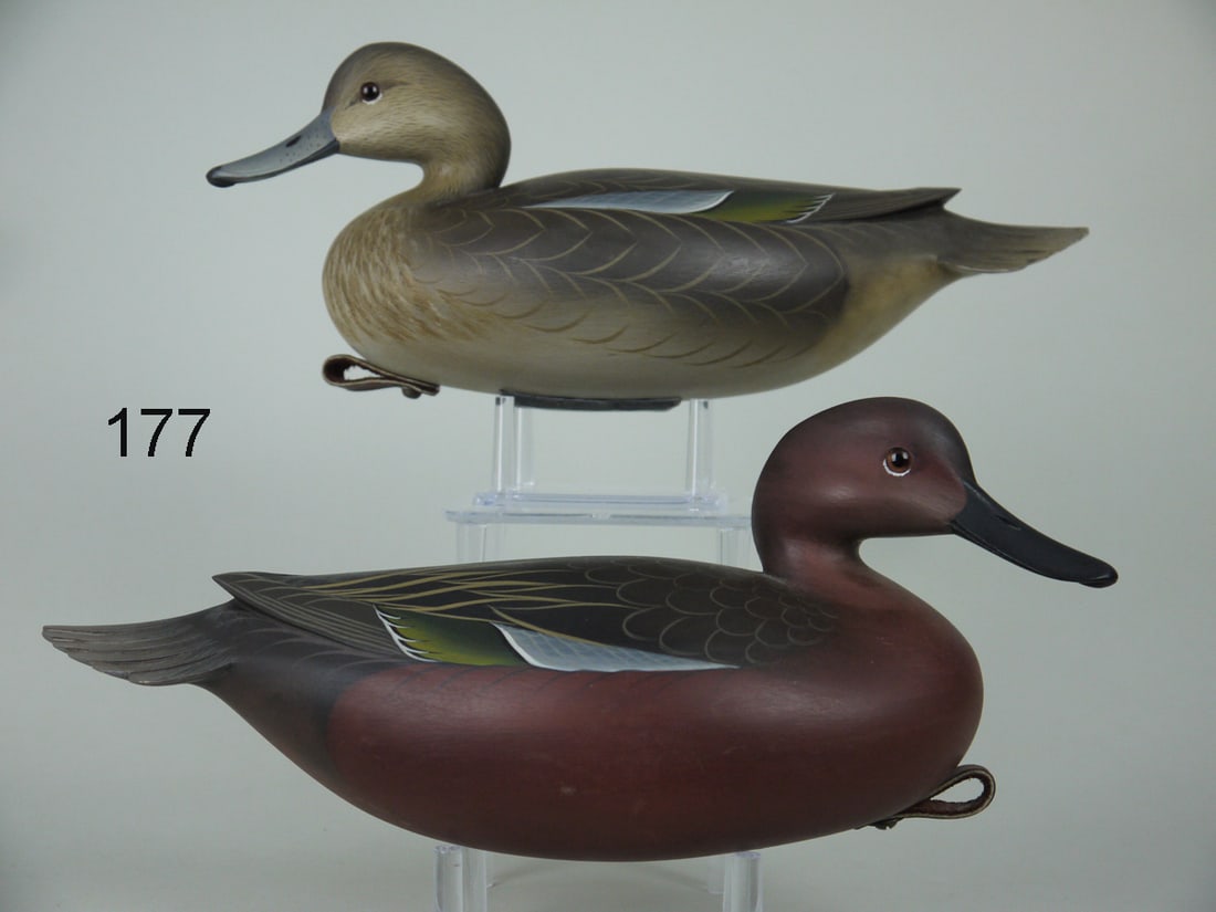 CINNAMON TEAL PAIR, G. STRUNK (1 of 4)