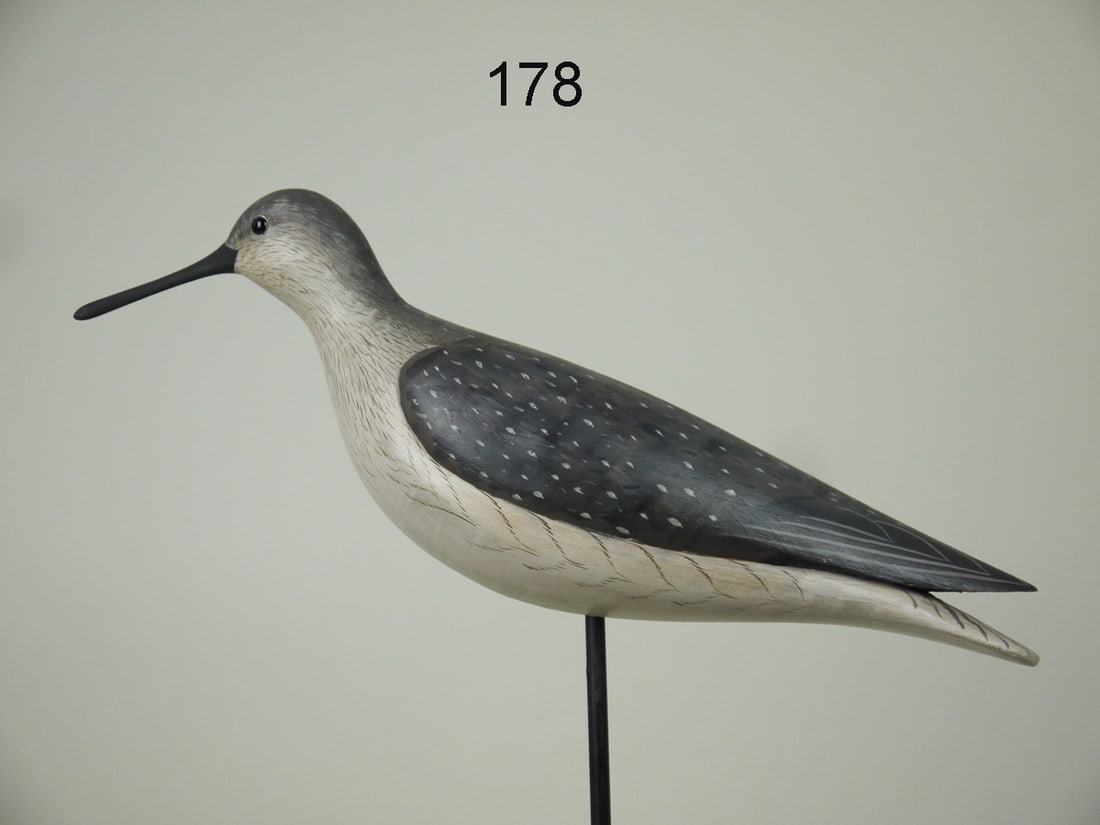 GREATER YELLOWLEGS, G. STRUNK (1 of 4)