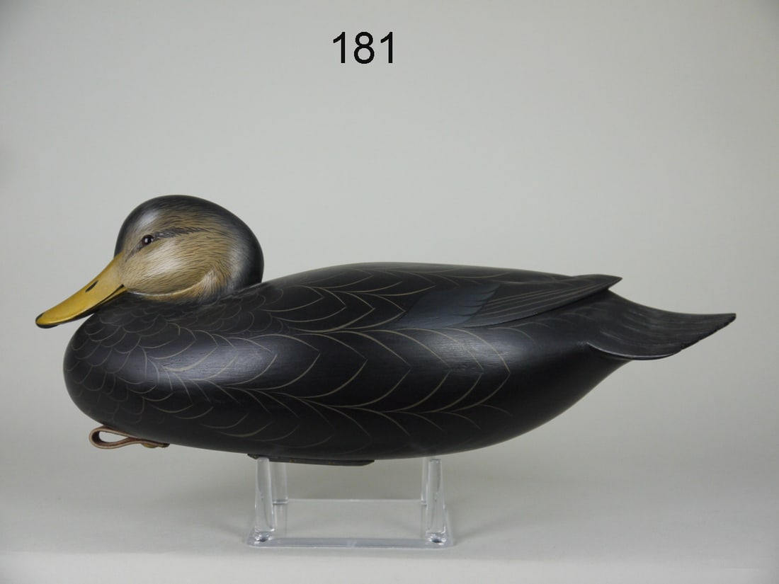 BLACK DUCK, G. STRUNK (1 of 4)
