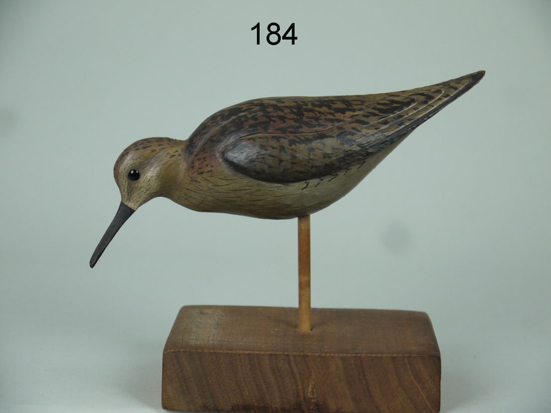 FEEDING PEEP, W. GIBIAN (1 of 4)