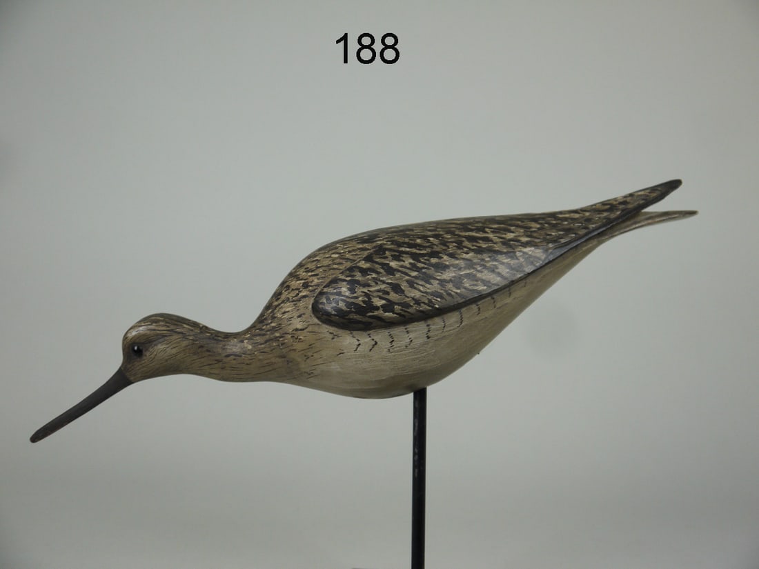 YELLOWLEGS, W. GIBIAN (1 of 4)
