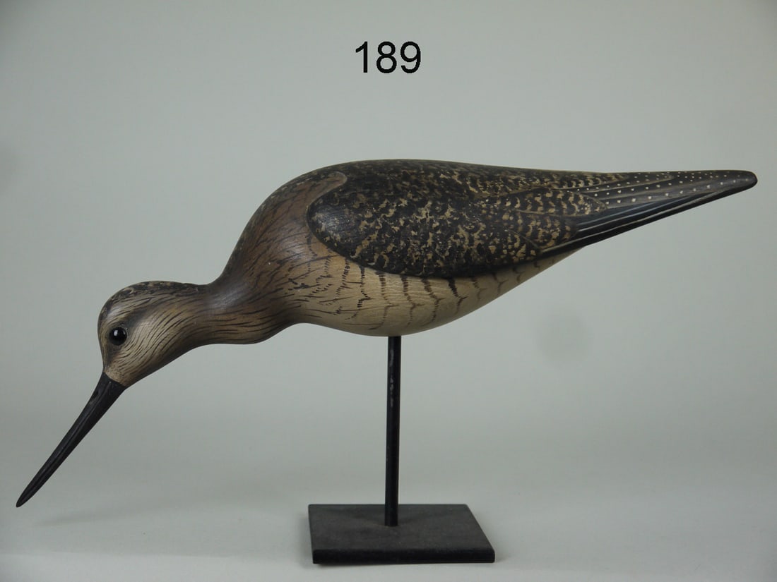 YELLOWLEGS, W. GIBIAN (1 of 4)