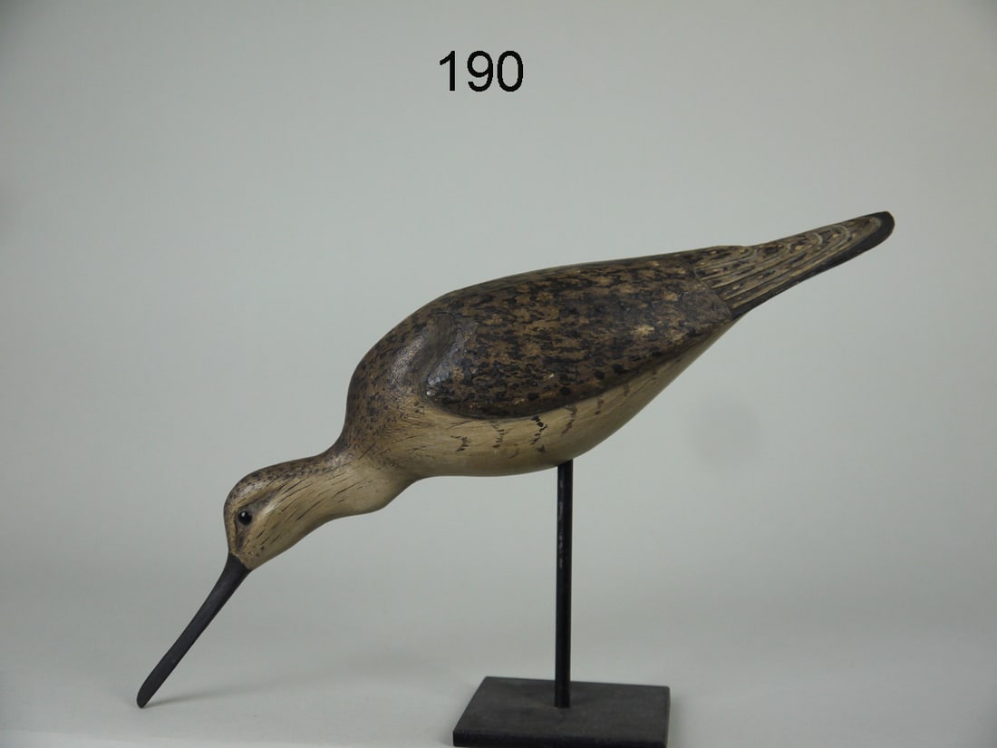 FEEDING YELLOWLEGS, W. GIBIAN (1 of 4)