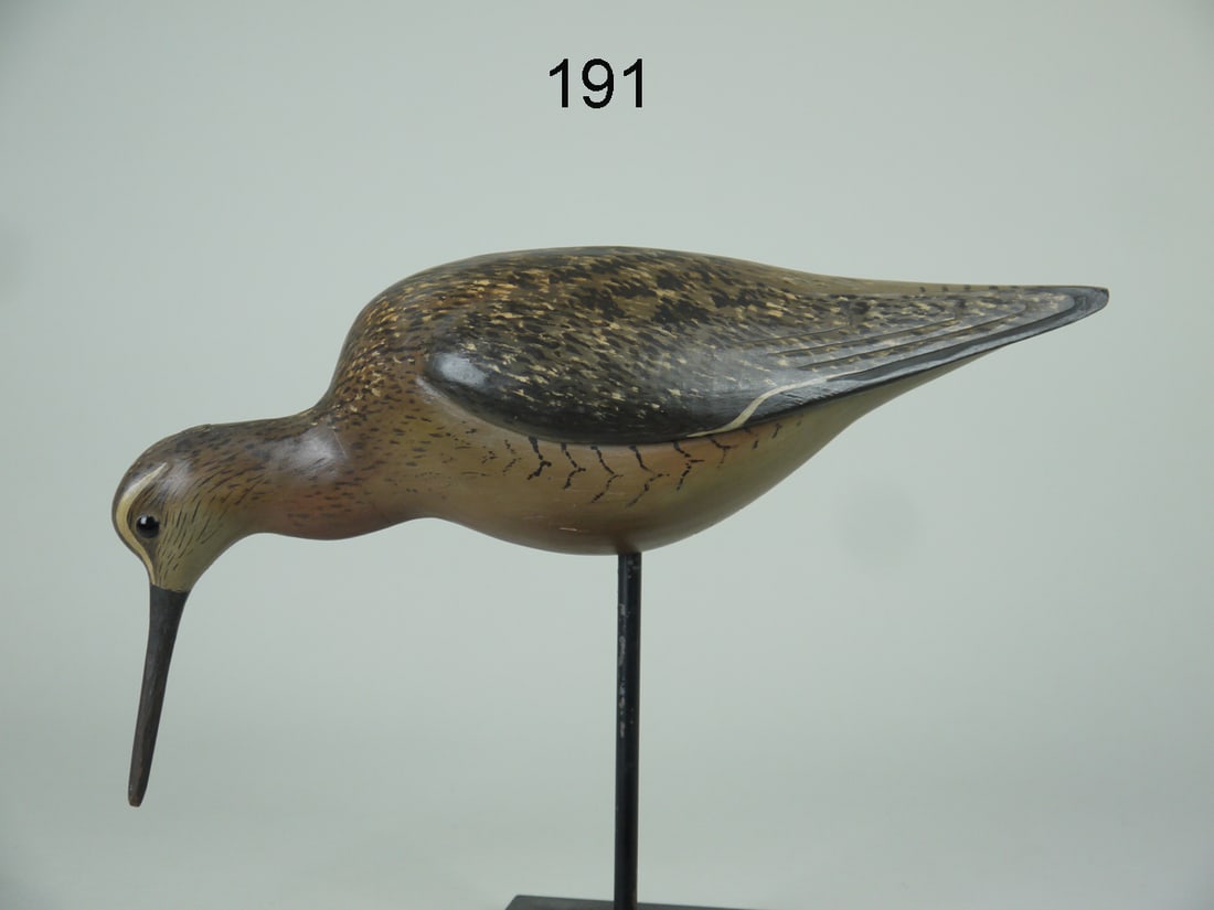 DOWITCHER, W. GIBIAN (1 of 4)
