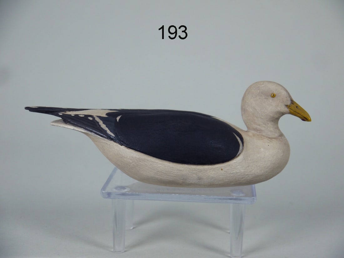 ONE-QUARTER SIZE BLACK-BACKED GULL, B. WHITE (1 of 4)