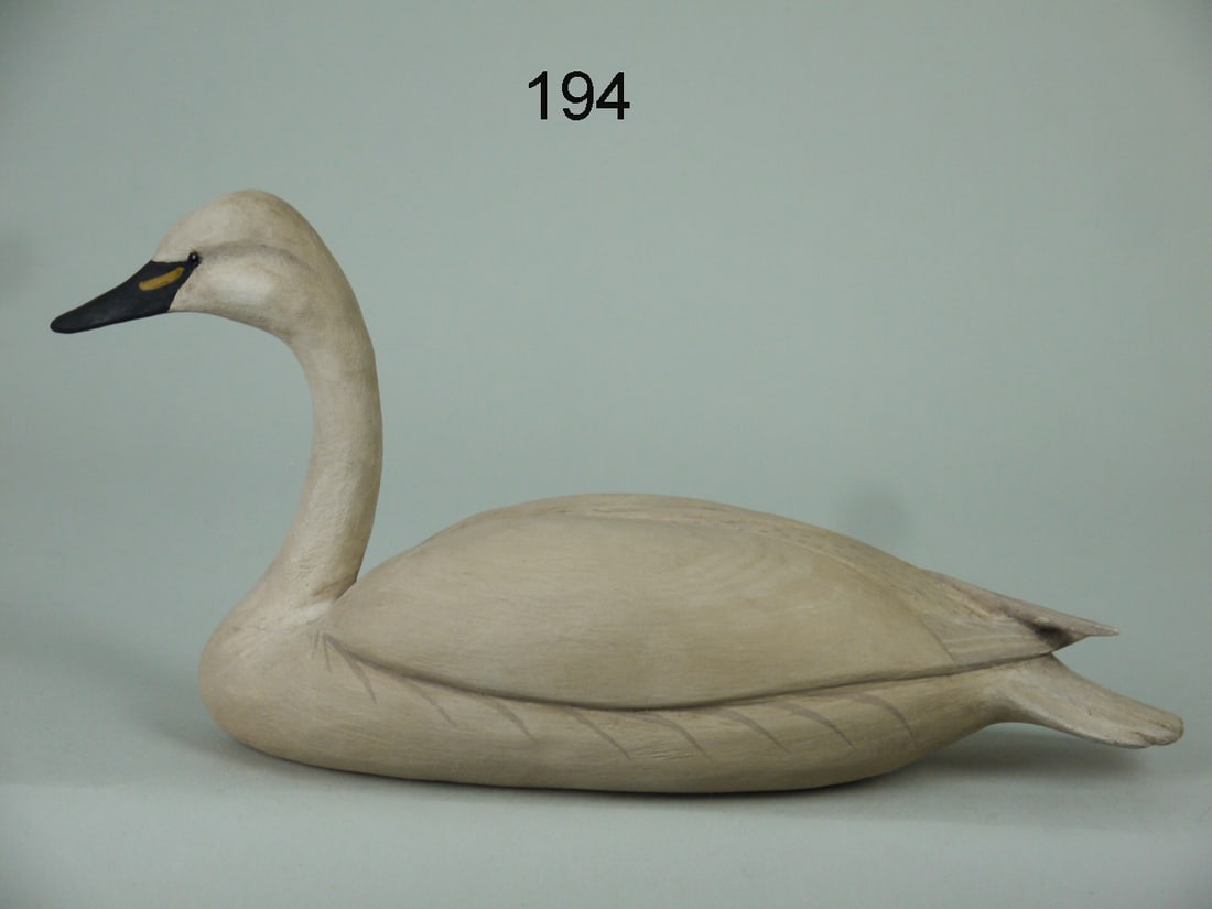 MINIATURE TUNDRA SWAN, B. WHITE (1 of 4)
