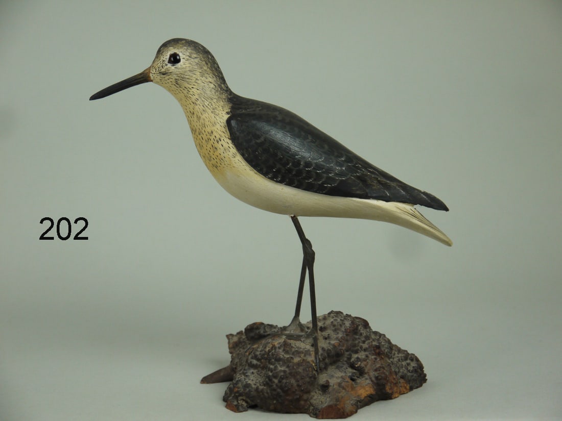 SANDPIPER, L. JOHNSON (1 of 4)