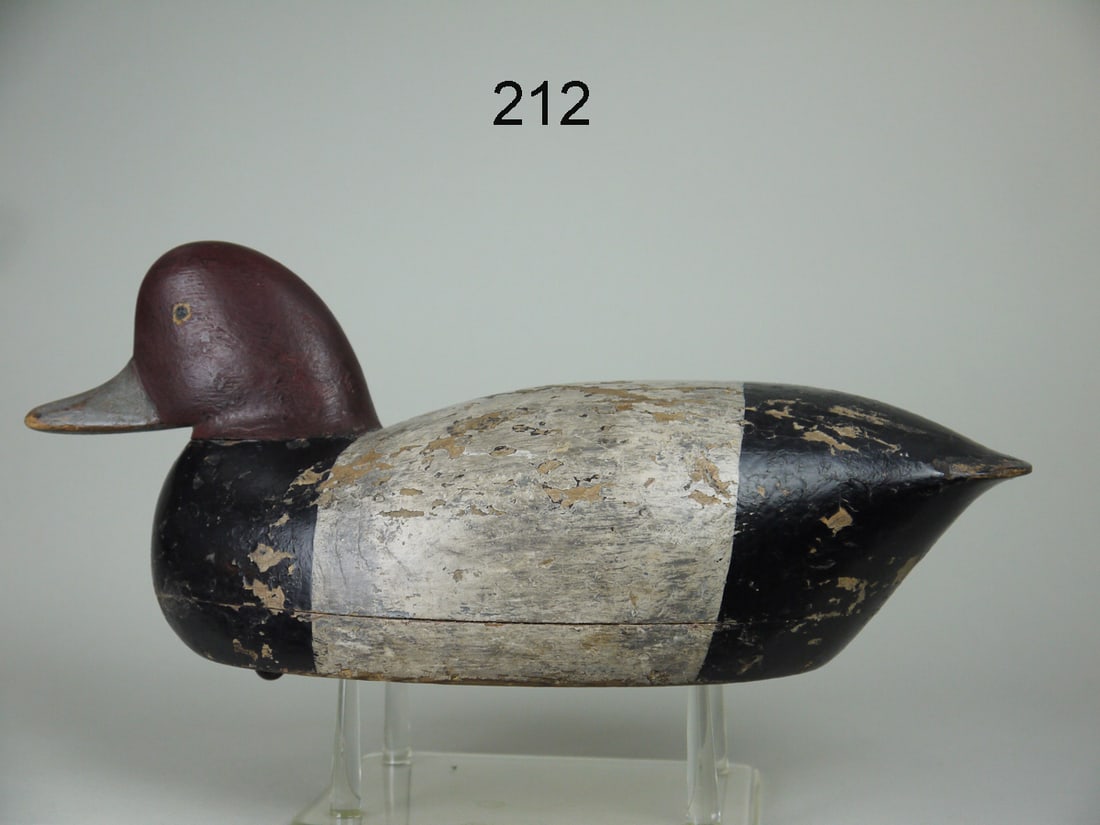 REDHEAD DRAKE, T. GASKILL (1 of 4)