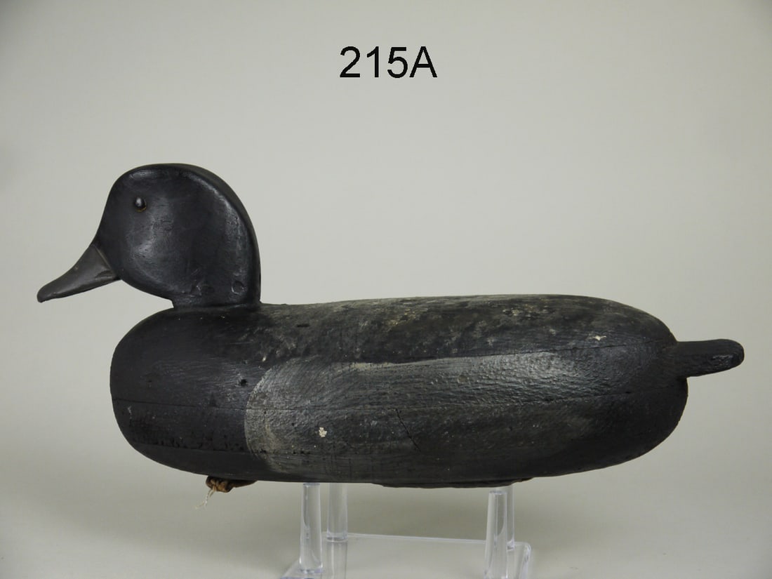 BLUEBILL DRAKE, W. APPLETON (1 of 4)