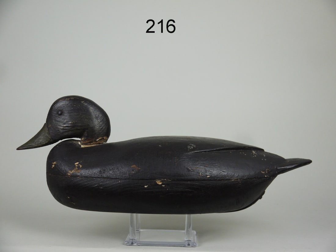 BLACK DUCK, H. FENNIMORE (1 of 4)