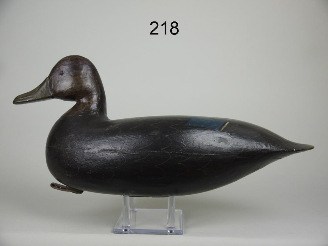EARLY BLACK DUCK, M. KEARS (1 of 4)