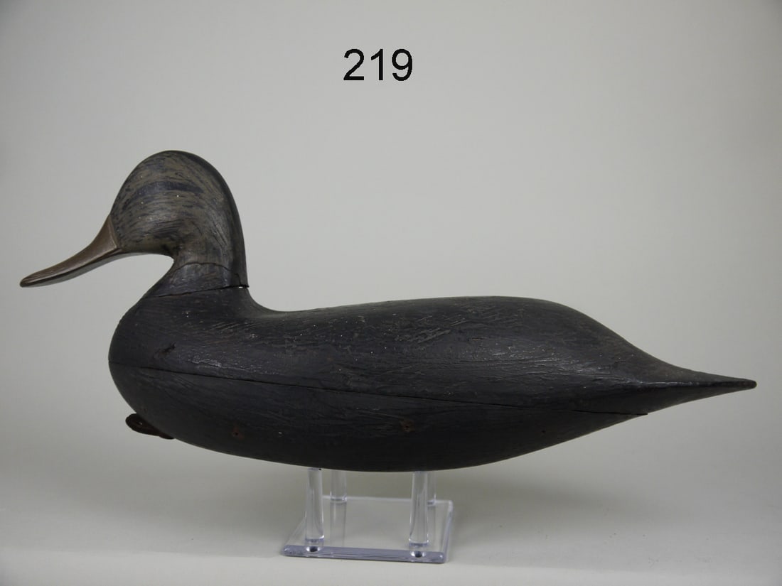 BLACK DUCK, J. UPDIKE (1 of 4)