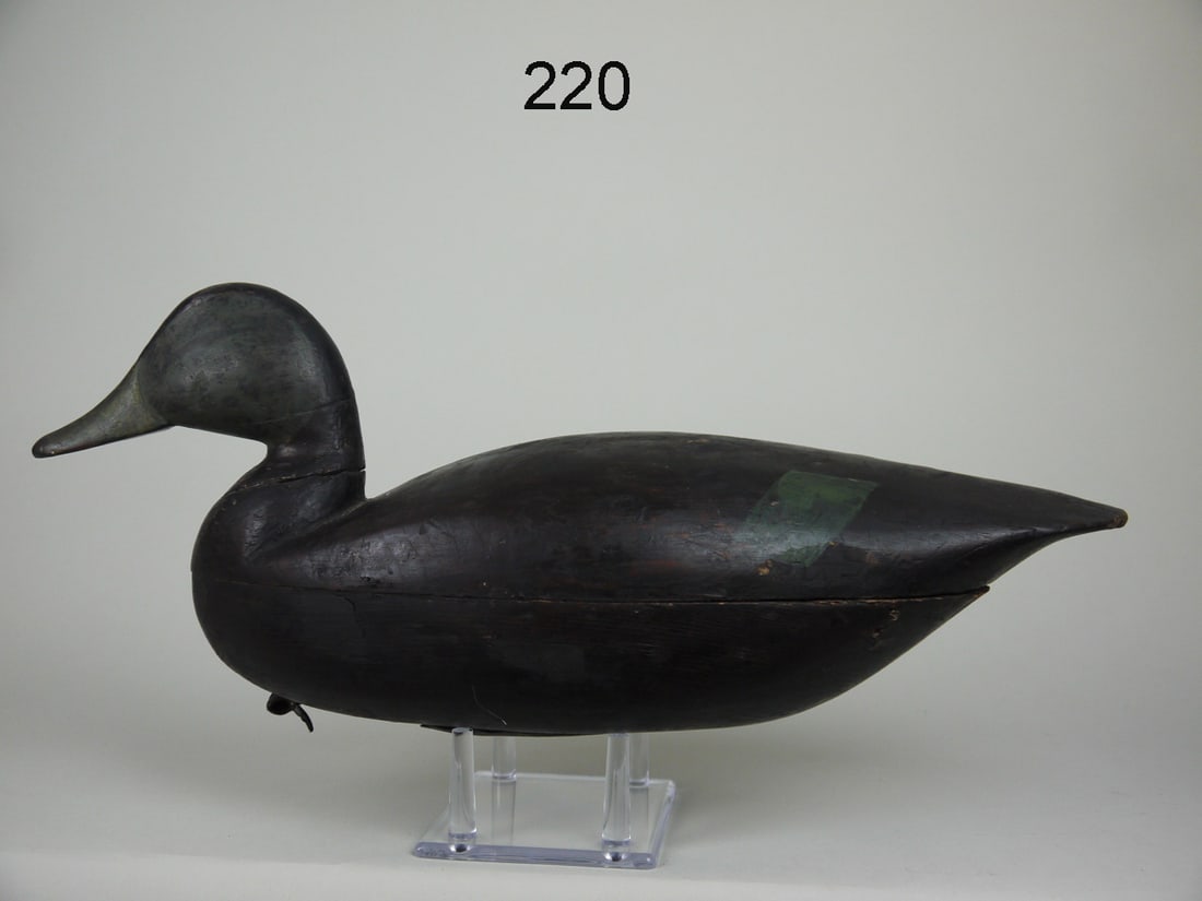 BLACK DUCK, H. KILPATRICK (1 of 4)