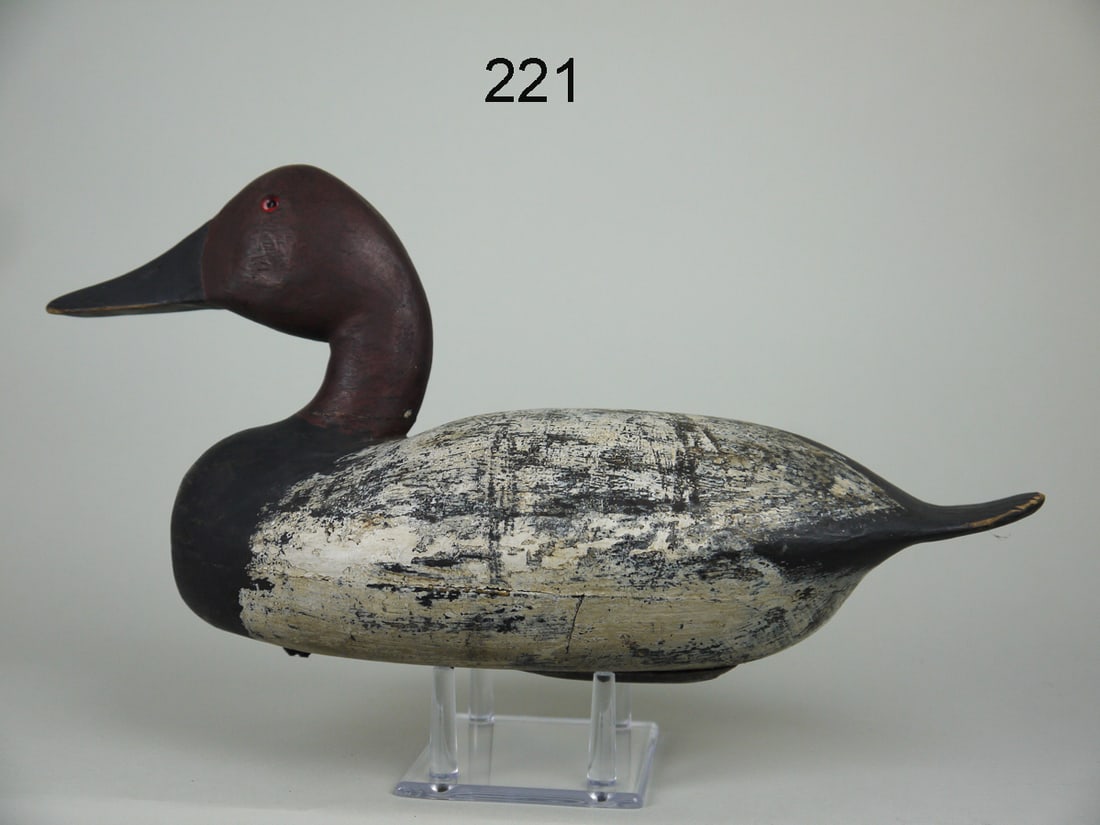 CANVASBACK DRAKE, C. TRADER (1 of 4)
