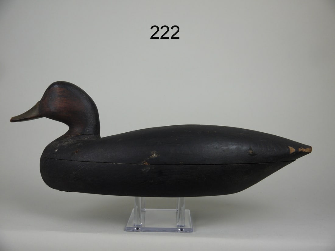 BLACK DUCK, J. BARRETT: EARLY BLACK DUCK by Jake Barrett, Somers Point, NJ, (1880-1945). Original paint and good structural condition. In-use wear to tail edges and tip of bill. Tight check to front of neck. Hollow construct